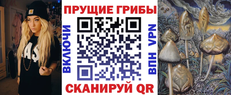Псилоцибиновые грибы GOLDEN TEACHER OMG зеркало Комсомольск-на-Амуре