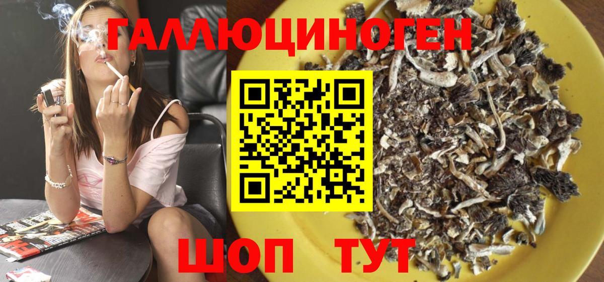 как найти   Псилоцибиновые грибы прущие грибы  Комсомольск-на-Амуре  Вход с VPN  Псилоцибиновые грибы Psilocybe 